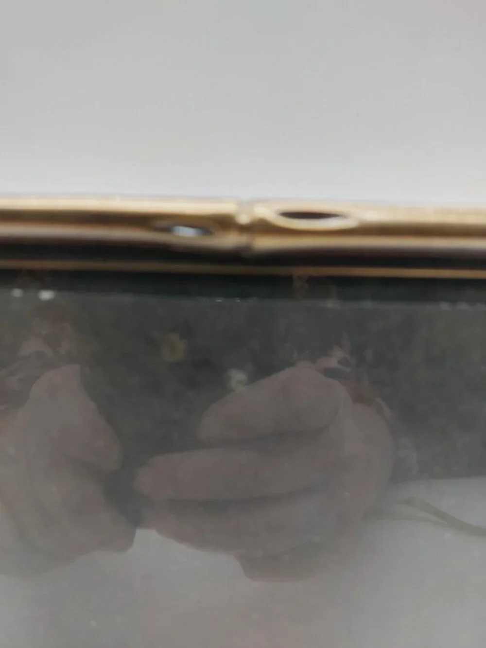 Martha Stewart Picture Frame 2002
